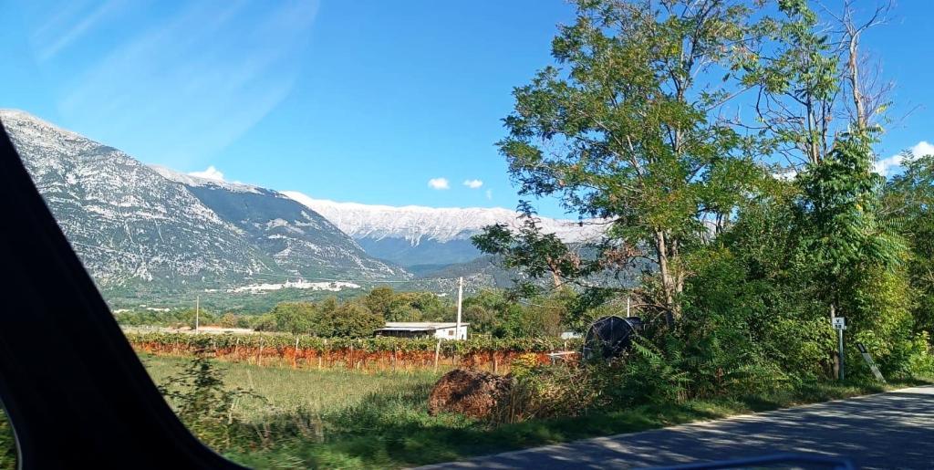 WhatsApp Image 2025-09-27 at 17.00.02 (5)