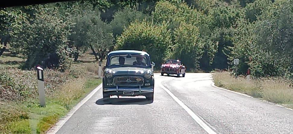 WhatsApp Image 2025-09-27 at 17.00.02 (8)